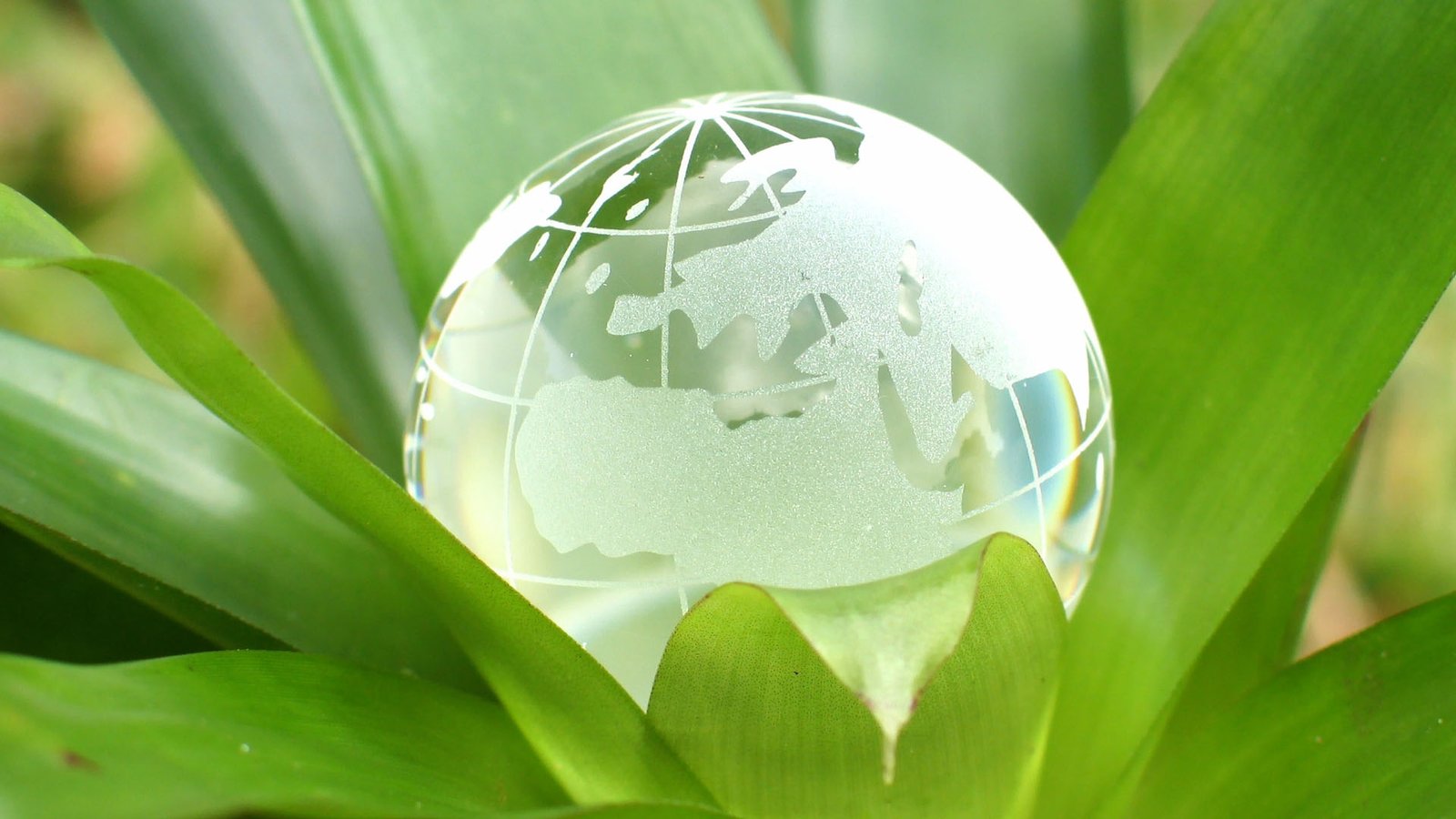 Banner N01